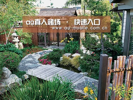 产品展示标题五