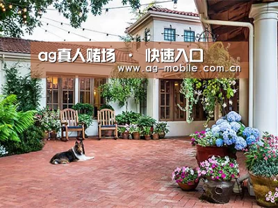 客户案例标题九(图1)