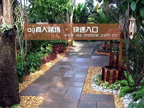 产品展示标题四