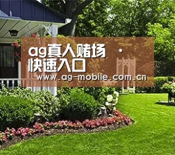 ag真人赌场 · 快速入口