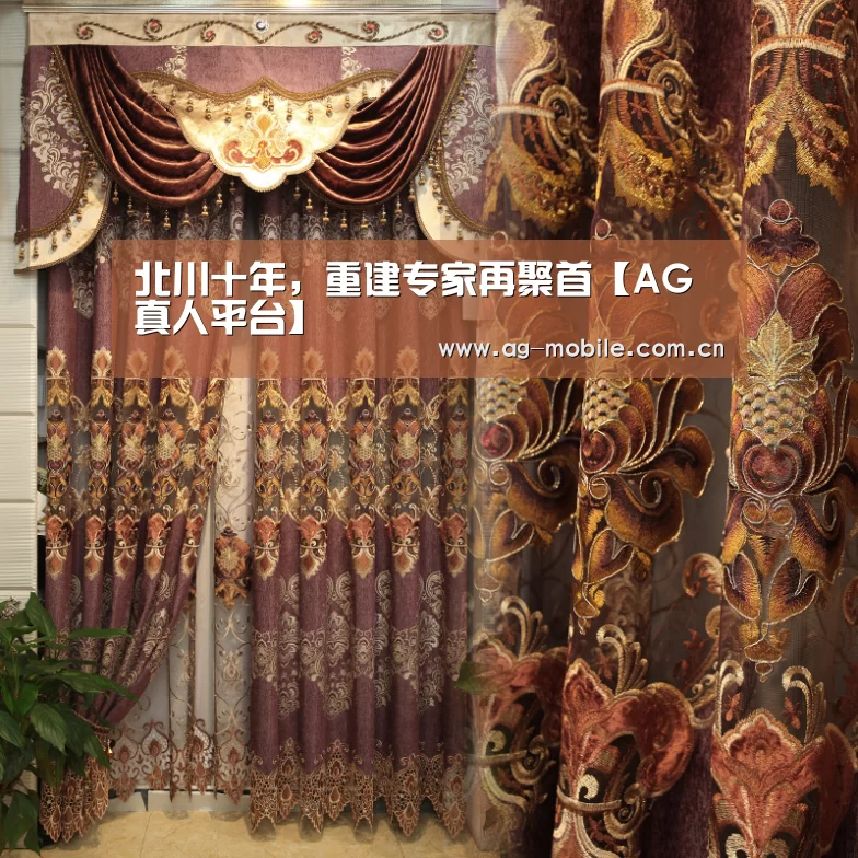 AG真人官方