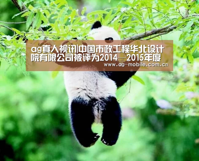 ag真人视讯|中国市政工程华北设计院有限公司被评为2014—2015年度“守合同重信用”企业(图1) AG真人官方