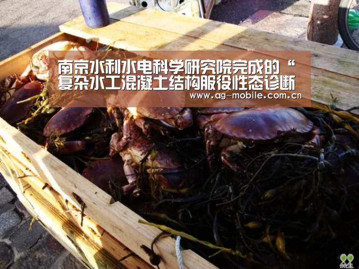 南京水利水电科学研究院完成的“复杂水工混凝土结构服役性态诊断技术与实践”项目荣获国家技术发明奖二等奖|ag真人视讯(图4) AG真人