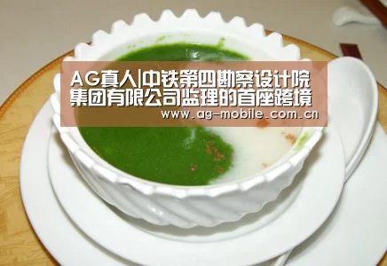 AG真人|中铁第四勘察设计院集团有限公司监理的首座跨境高铁福田站至深港分界段进入联调联试阶段(图1) AG真人平台